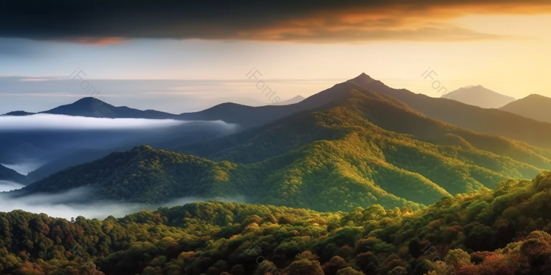 大自然下的高山树林实拍全景,高清,摄影图,摄影图片,图片大全,摄影图免费下载